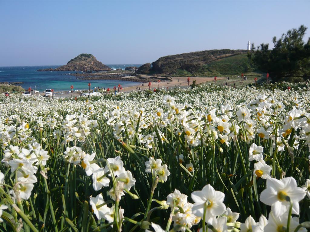 Готель Izu Retreat By Onko Chishin Хіґашіідзу Екстер'єр фото